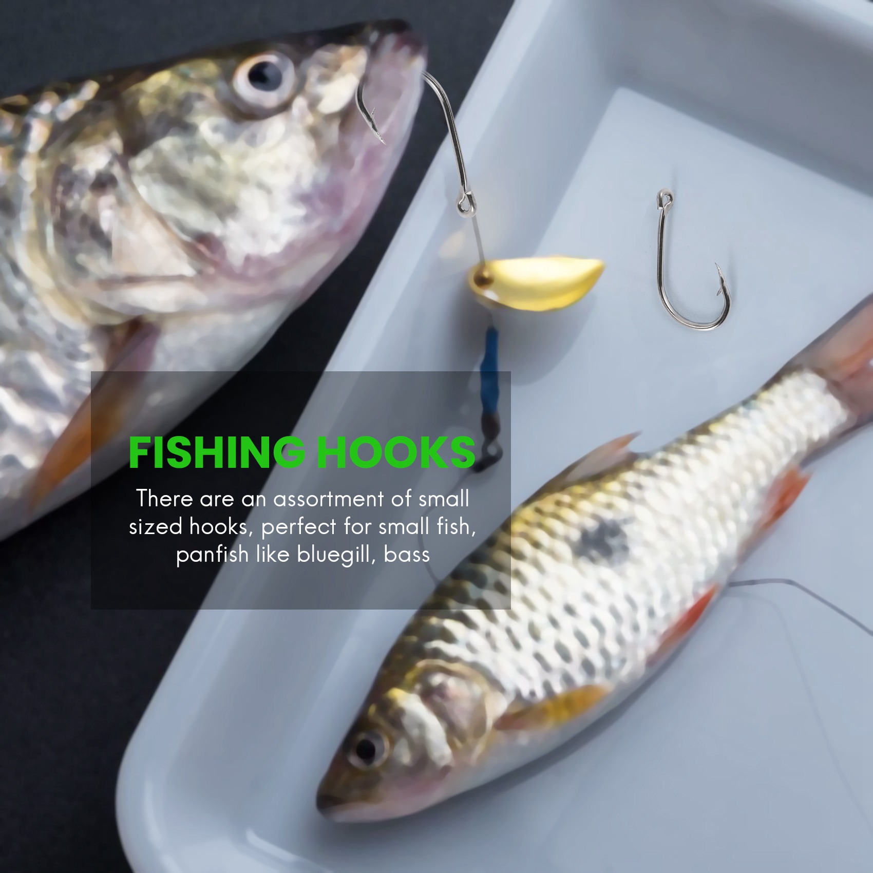 สินค้ามาใหม่ 500 ชิ้น/ชุด ขนาด - Fishing Hook Box บทวิจารณ์และราคา